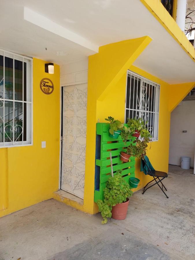 Casa Los Cuatro Elementos Tierra 칸쿤 외부 사진